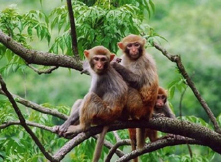 北京团建活动 北京团建活动