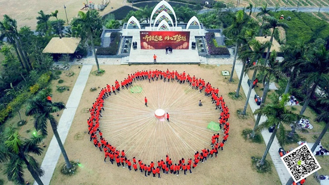 拓展训练 拓展训练