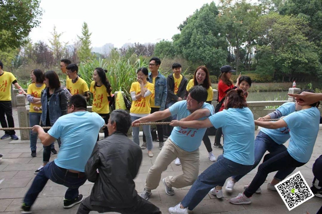 拓展训练 拓展训练