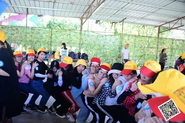 拓展训练 拓展训练