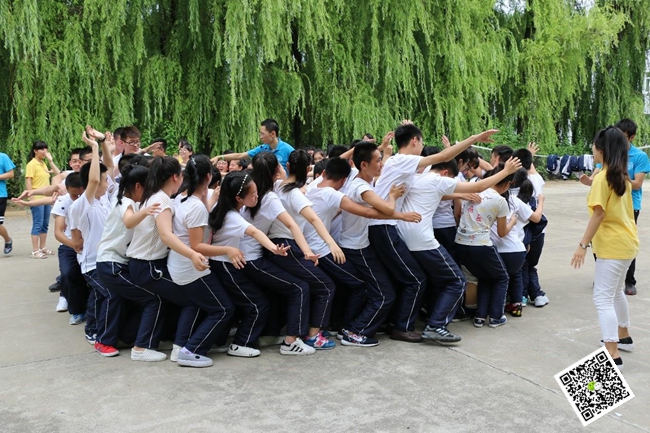 拓展训练 拓展训练