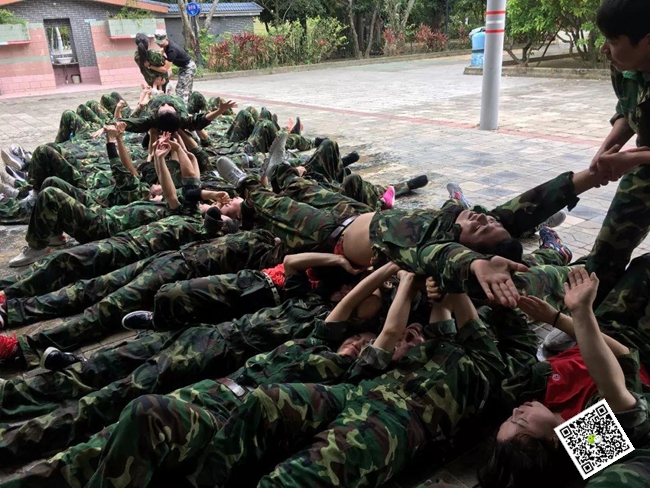 拓展训练 拓展训练