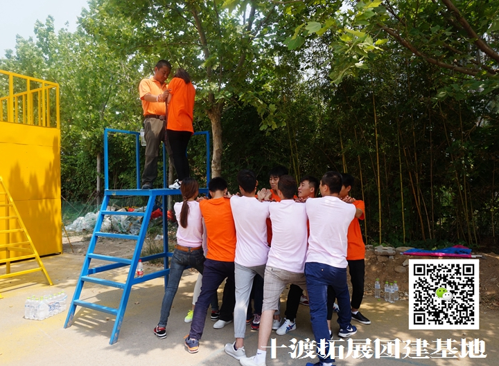 拓展训练 拓展训练
