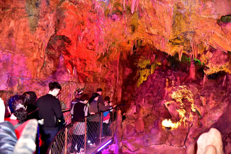 拓展训练 拓展训练