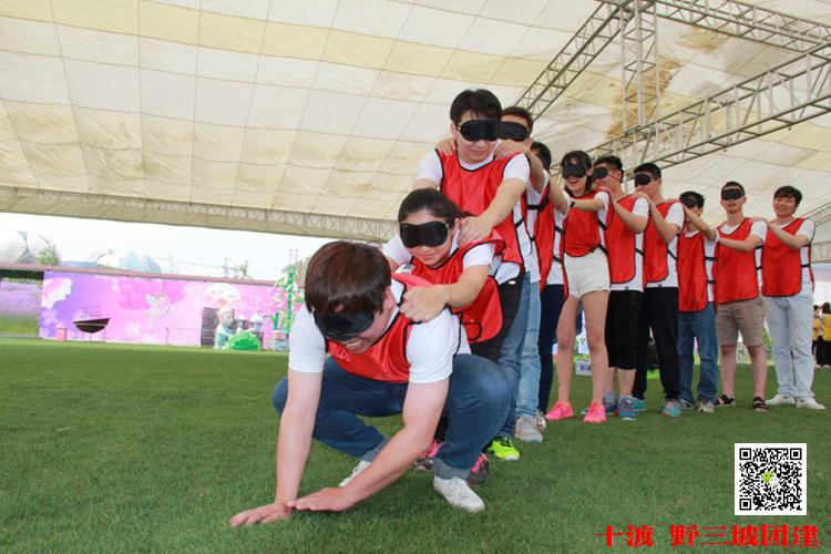 拓展训练 拓展训练