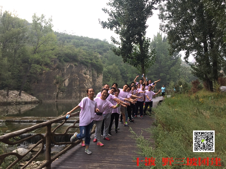 拓展训练 拓展训练